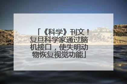 《科学》刊文！复旦科学家通过脑机接口，使失明动物恢复视觉功能
