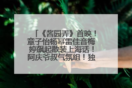 《酱园弄》首映！章子怡杨幂雷佳音梅婷飙起散装上海话！阿庆爷叔气氛组！独独没见他……