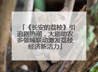 《长安的荔枝》引追剧热潮，大剧助农多领域联动激发荔枝经济新活力