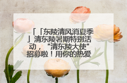 「东陵清风消夏季」清东陵暑期特别活动，“清东陵大使”招募啦！用你的热爱守护世界遗产！