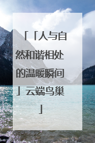 「人与自然和谐相处的温暖瞬间」云端鸟巢