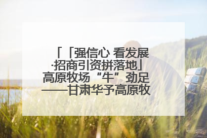 「强信心 看发展·招商引资拼落地」高原牧场“牛”劲足——甘肃华予高原牧场高标准奶牛肉牛养殖项目一线见闻