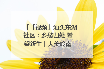 「视频」汕头东湖社区：乡愁归处 希望新生｜大美岭南·百村焕新记
