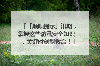 「顺顺提示」汛期，掌握这些防汛安全知识，关键时刻能救命！