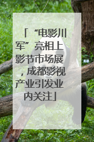“电影川军”亮相上影节市场展，成都影视产业引发业内关注