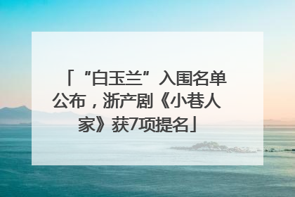 “白玉兰”入围名单公布，浙产剧《小巷人家》获7项提名