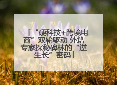“硬科技+跨境电商”双轮驱动 外籍专家探秘碑林的“逆生长”密码