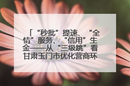 “秒批”提速、“全情”服务、“信用”生金——从“三级跳”看甘肃玉门市优化营商环境的进阶之路