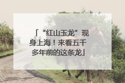 “红山玉龙”现身上海！来看五千多年前的这条龙