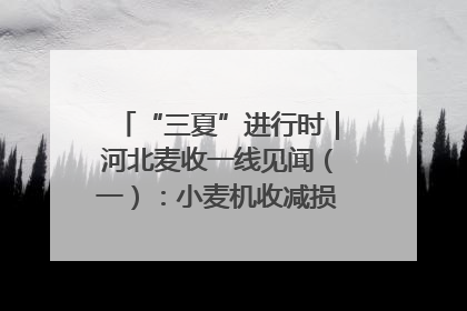 “三夏”进行时｜河北麦收一线见闻（一）：小麦机收减损“竞技” 农机高手麦田“过招”