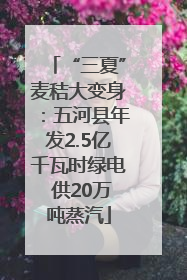 “三夏”麦秸大变身：五河县年发2.5亿千瓦时绿电 供20万吨蒸汽