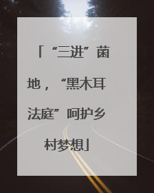 “三进”菌地，“黑木耳法庭”呵护乡村梦想