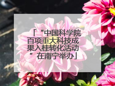 “中国科学院百项重大科技成果入桂转化活动”在南宁举办