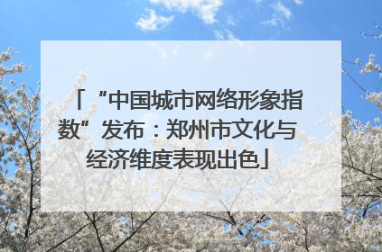 “中国城市网络形象指数”发布：郑州市文化与经济维度表现出色