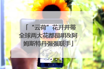 “云荷”花开并蒂 全球两大花都昆明&阿姆斯特丹强强联手