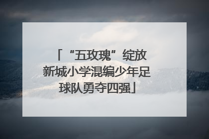 “五玫瑰”绽放 新城小学混编少年足球队勇夺四强