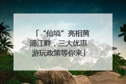 “仙境”亮相黄浦江畔，三大优惠游玩政策等你来