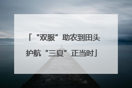 “双服”助农到田头 护航“三夏”正当时