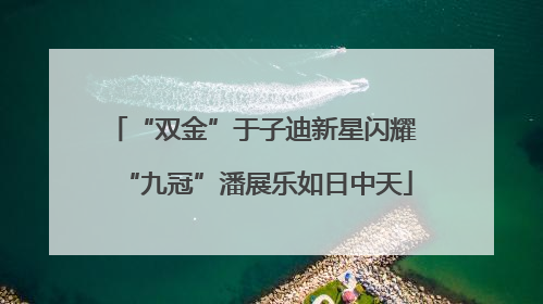 “双金”于子迪新星闪耀 “九冠”潘展乐如日中天
