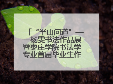 “半山问道”——杨雯书法作品展暨枣庄学院书法学专业首届毕业生作品展在山东省文化馆开幕