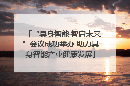 “具身智能·智启未来”会议成功举办 助力具身智能产业健康发展