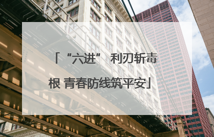 “六进” 利刃斩毒根 青春防线筑平安