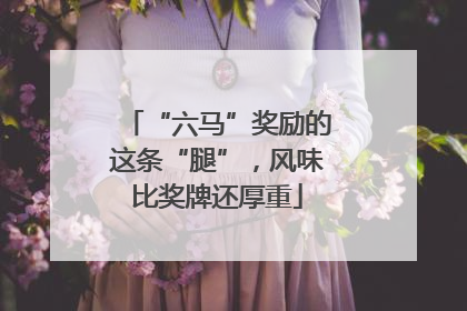 “六马”奖励的这条“腿”，风味比奖牌还厚重