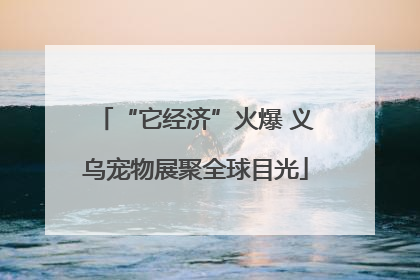 “它经济”火爆 义乌宠物展聚全球目光