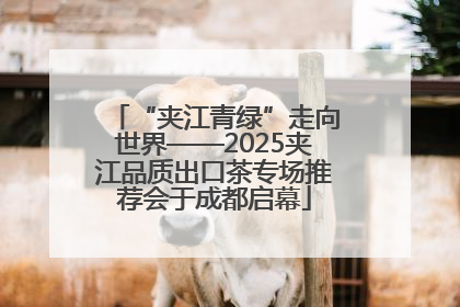 “夹江青绿”走向世界——2025夹江品质出口茶专场推荐会于成都启幕