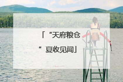 “天府粮仓”夏收见闻