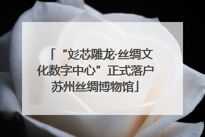 “彣芯雕龙·丝绸文化数字中心”正式落户苏州丝绸博物馆
