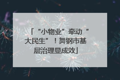 “小物业”牵动“大民生”！舞钢市基层治理显成效