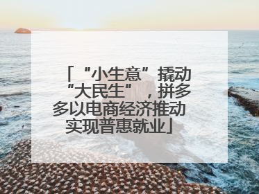 “小生意”撬动“大民生”，拼多多以电商经济推动实现普惠就业