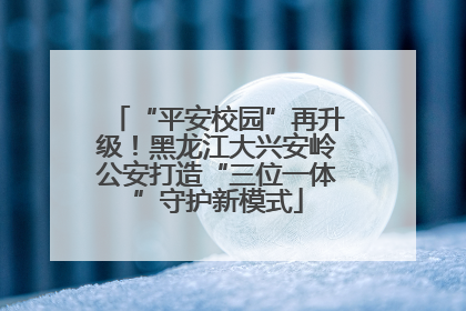 “平安校园”再升级！黑龙江大兴安岭公安打造“三位一体”守护新模式