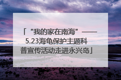 “我的家在南海”——5.23海龟保护主题科普宣传活动走进永兴岛
