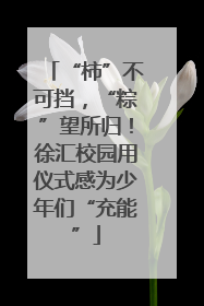 “柿”不可挡，“粽”望所归！徐汇校园用仪式感为少年们“充能”