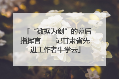 “数据为剑”的幕后指挥官——记甘肃省先进工作者牛学云