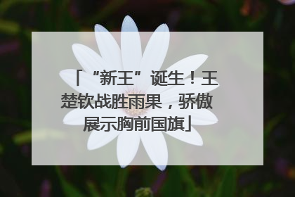 “新王”诞生！王楚钦战胜雨果，骄傲展示胸前国旗