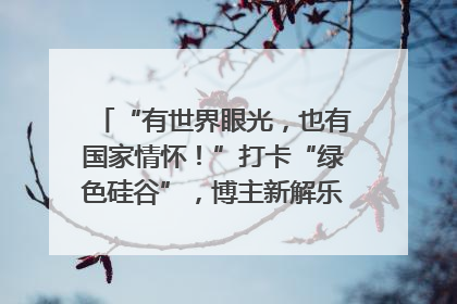 “有世界眼光，也有国家情怀！”打卡“绿色硅谷”，博主新解乐山｜网络名人四川行