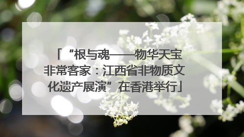 “根与魂——物华天宝 非常客家：江西省非物质文化遗产展演”在香港举行