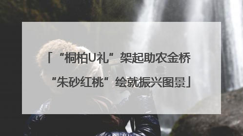 “桐柏U礼”架起助农金桥 “朱砂红桃”绘就振兴图景