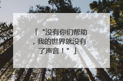 “没有你们帮助，我的世界就没有了声音！”