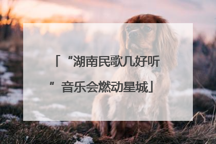 “湖南民歌几好听”音乐会燃动星城