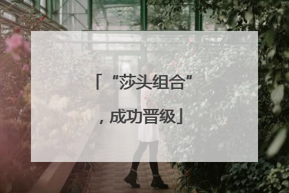 “莎头组合”，成功晋级