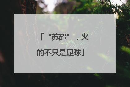 “苏超”，火的不只是足球