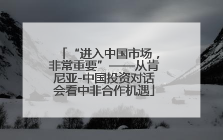 “进入中国市场，非常重要”——从肯尼亚-中国投资对话会看中非合作机遇