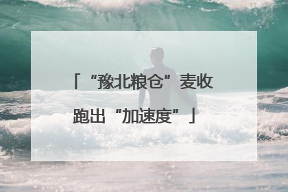 “豫北粮仓”麦收跑出“加速度”