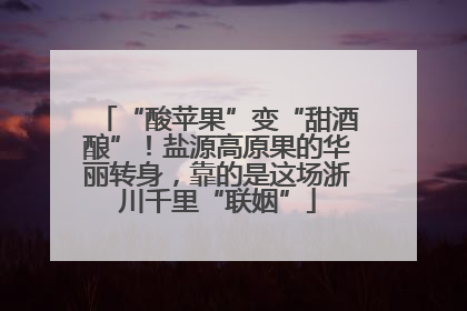 “酸苹果”变“甜酒酿”！盐源高原果的华丽转身，靠的是这场浙川千里“联姻”