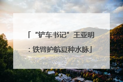 “铲车书记”王亚明：铁臂护航夏种水脉