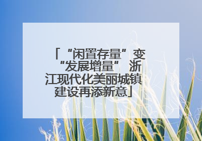 “闲置存量”变“发展增量” 浙江现代化美丽城镇建设再添新意